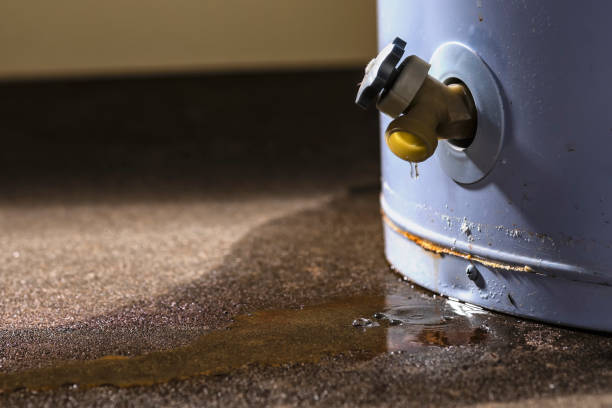 Best 24/7 water damage repair  in Shenandoah Heights, PA
