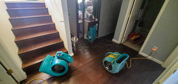 Best Local water damage restoration  in Shenandoah Heights, PA