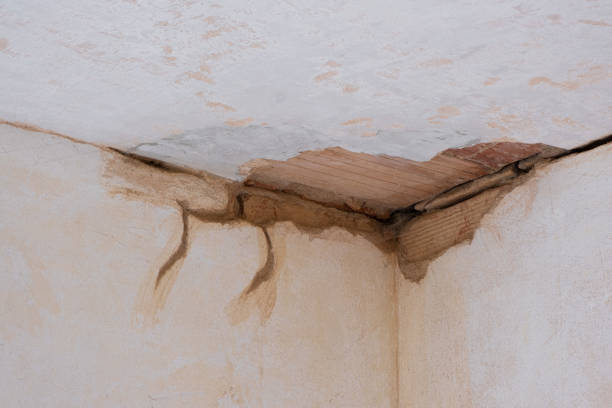 Best Water damage restoration near me  in Shenandoah Heights, PA