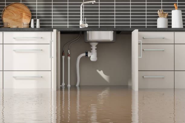 Best Ceiling water damage repair  in Shenandoah Heights, PA